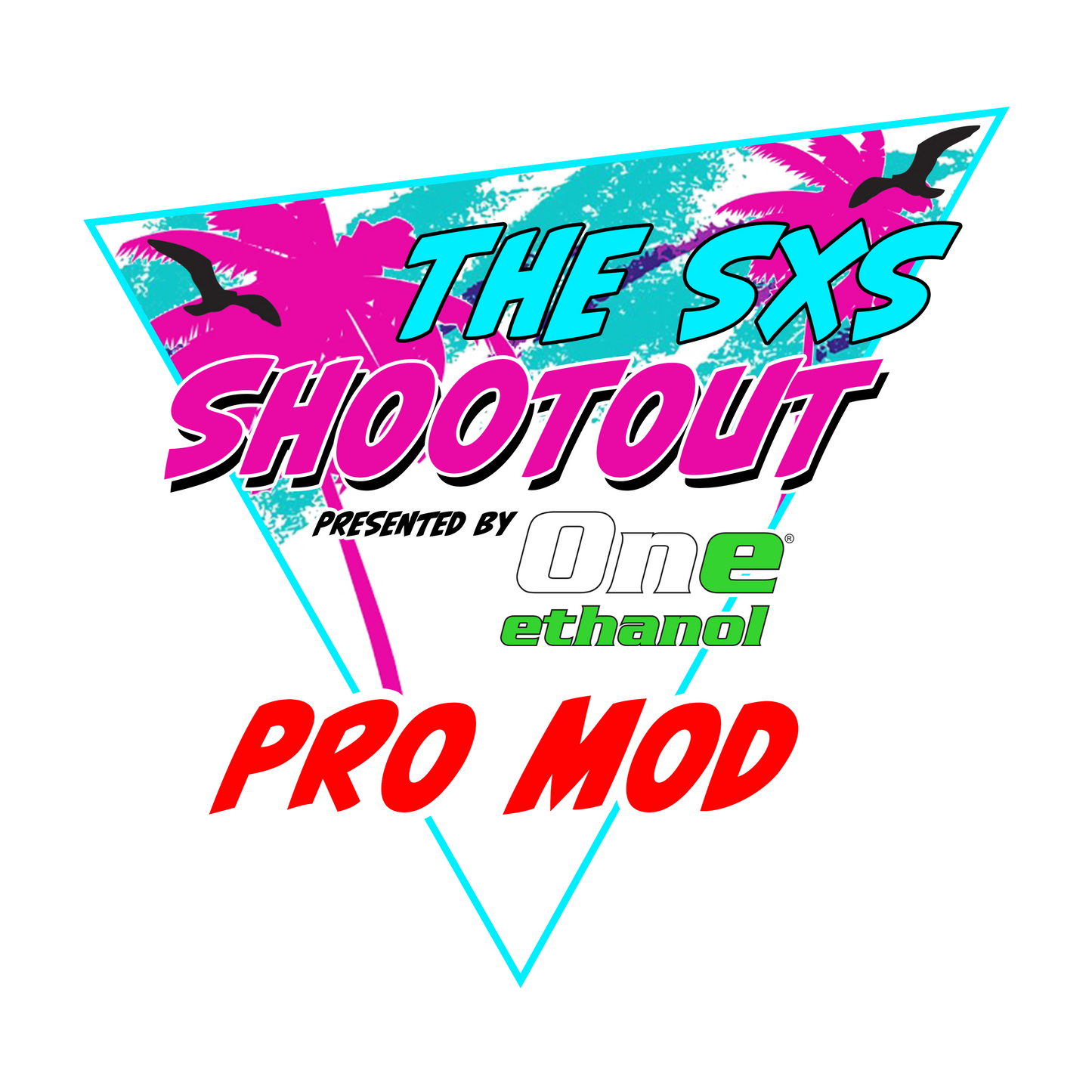 2023 SXS Shootout Pro Mod Class Registration & Rules